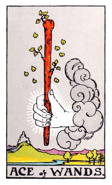 The blossoming of the wand represents growth and new beginnings. . Ace of wands and four of wands